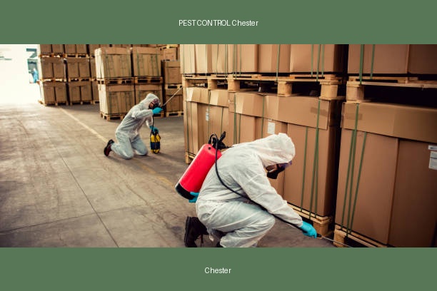 PEST CONTROL Chester